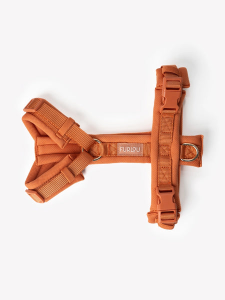 furlou-harnais-pour-chien-comfort-terracotta