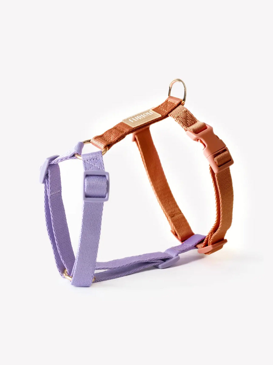 furlou-harnais-pour-chien-lavender-Terracotta