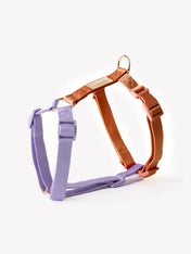 furlou-harnais-pour-chien-lavender-Terracotta