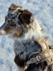 furlou-harnais-pour-chien-sherpa-beige