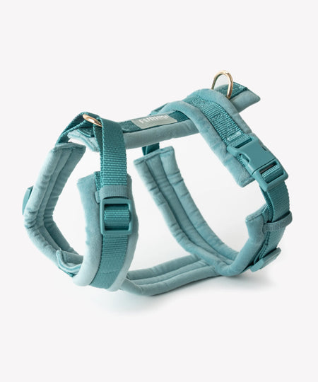 furlou-harnais-pour-chien-velvet-bleu