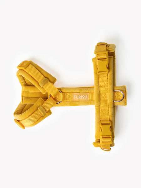 furlou-harnais-pour-chien-velvet-jaune