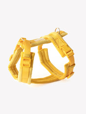 furlou-harnais-pour-chien-velvet-jaune