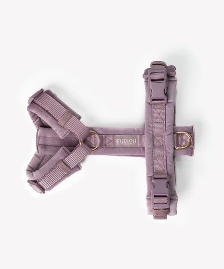 furlou-harnais-pour-chien-velvet-lavende-violet
