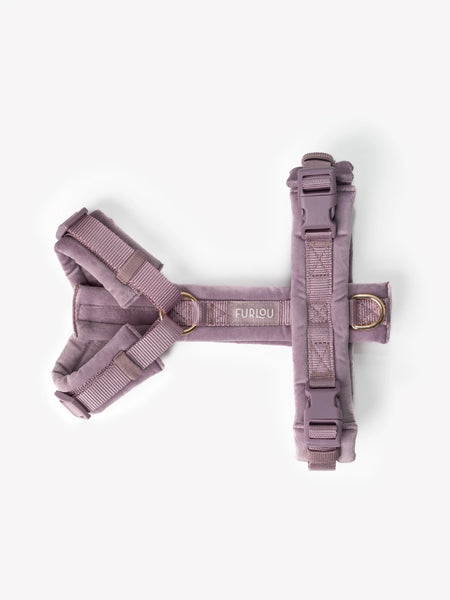 furlou-harnais-pour-chien-velvet-lavende-violet
