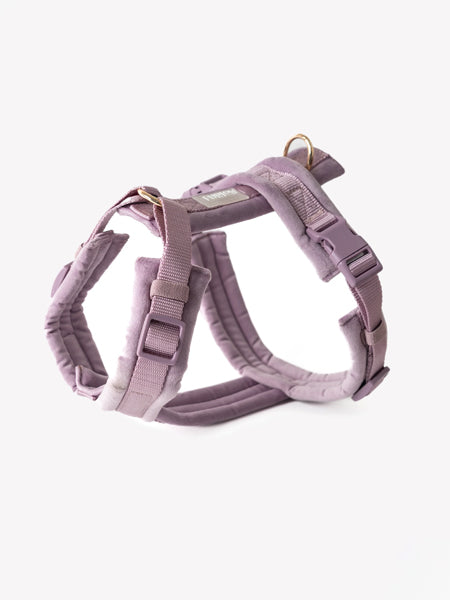 furlou-harnais-pour-chien-velvet-lavende-violet