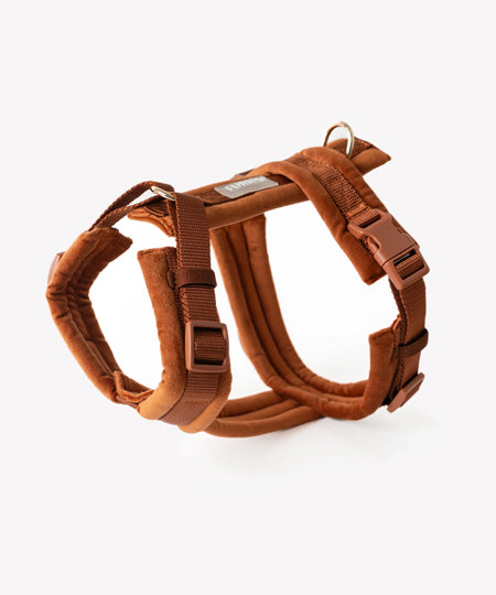 furlou-harnais-pour-chien-velvet-terre-cuite