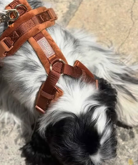 furlou-harnais-pour-chien-velvet-terre-cuite