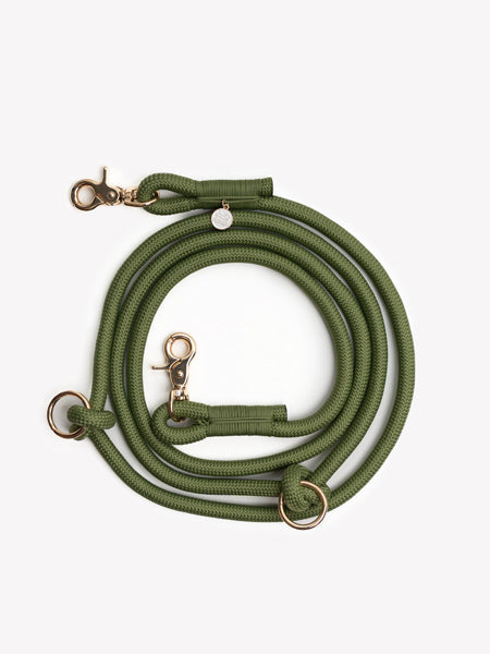 furlou-laisse-main-libre-pour-chien-vert