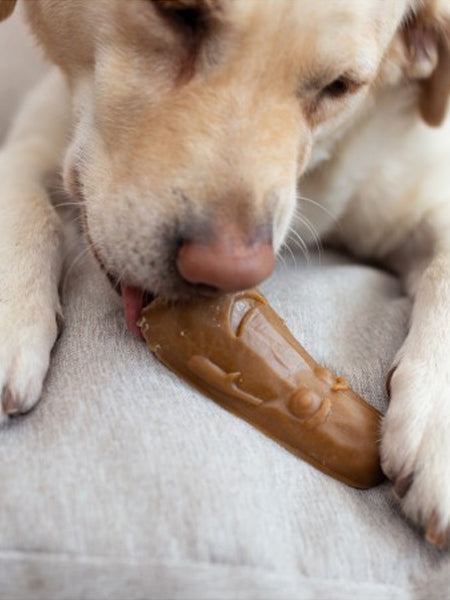       garden-bites-friandises-pour-chien-veggies-friends-vegan-small