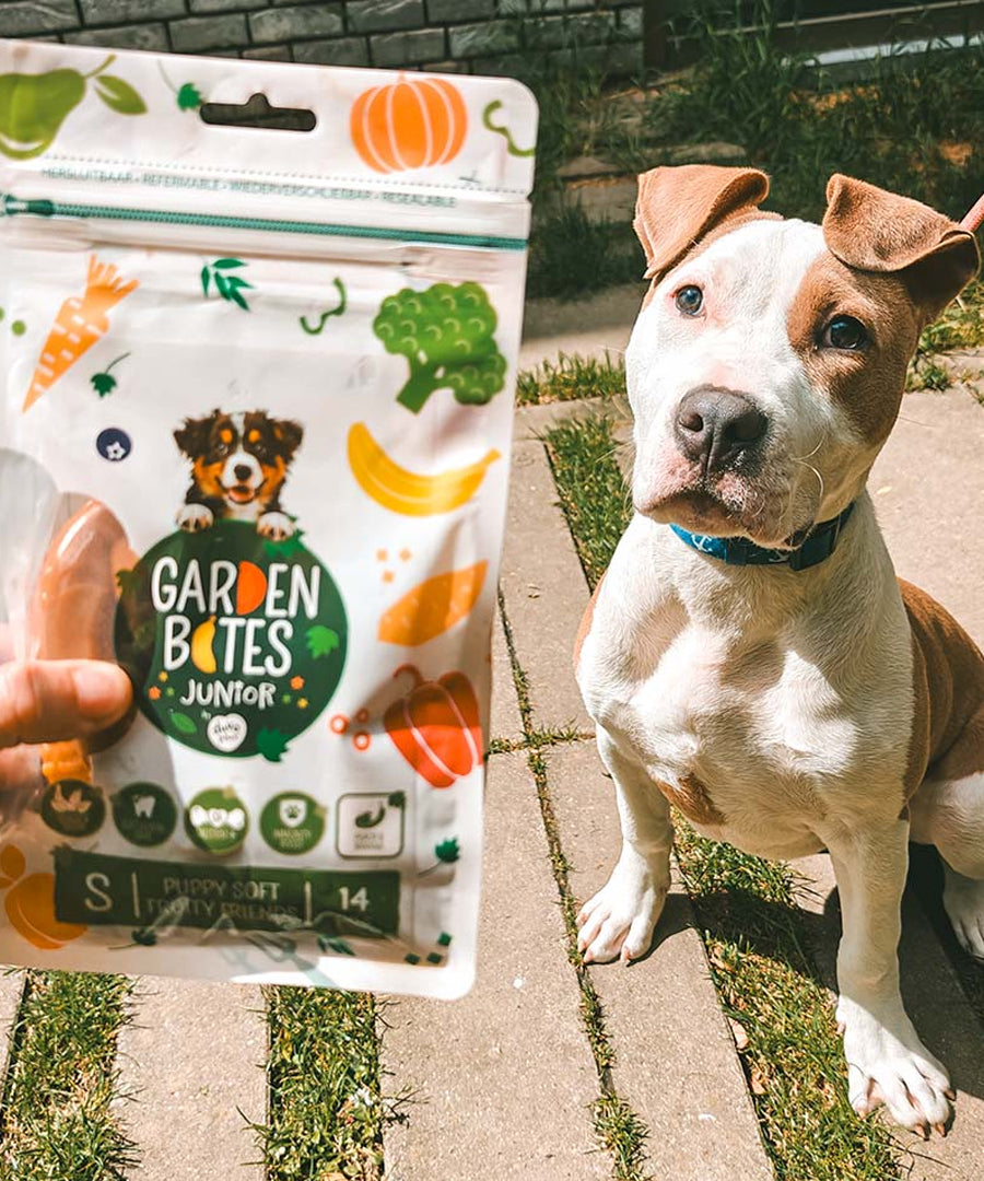 garden-bites-friandises-pour-chiot-fruity-friends-vegan-puppy