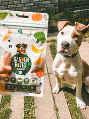 garden-bites-friandises-pour-chiot-fruity-friends-vegan-puppy