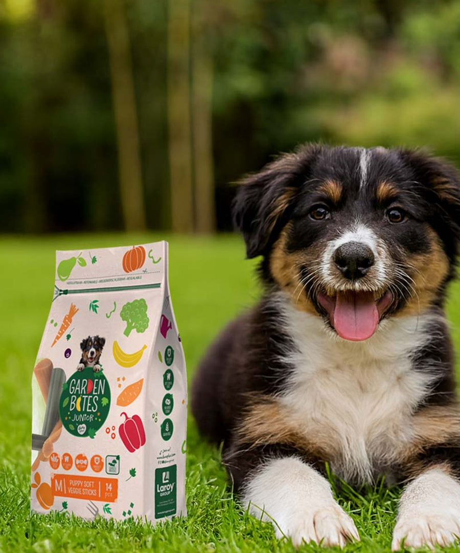 garden-bites-friandises-pour-chiot-fruity-friends-vegan-stick-puppy