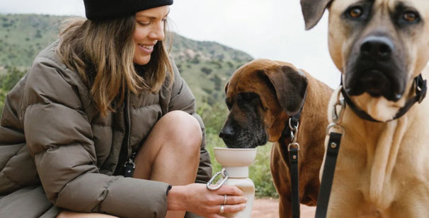 Inooko Accessoires pour chien et chiot, original et de qualité - inooko