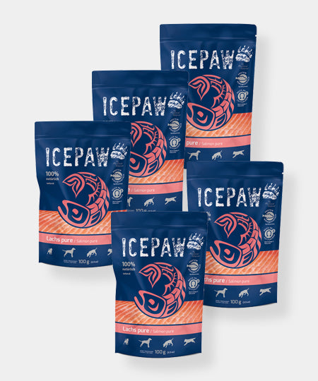 ice-paw-friandises-de-qualite-pour-chien-filet-pur-saumon-lot-de-5