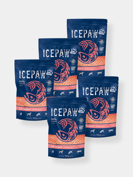 ice-paw-friandises-de-qualite-pour-chien-filet-pur-saumon-lot-de-5