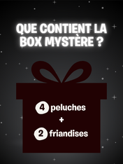 Une Box Mystère pour chien black friday