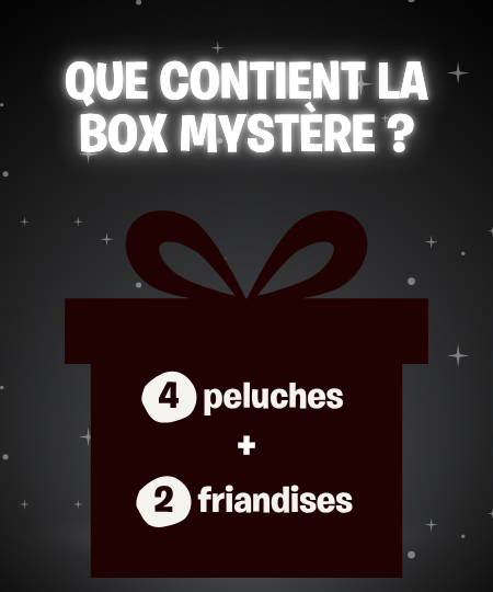 Une Box Mystère pour chien black friday