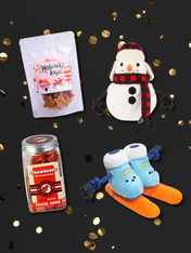 Pack promotionnel Black Friday - Ski Holiday