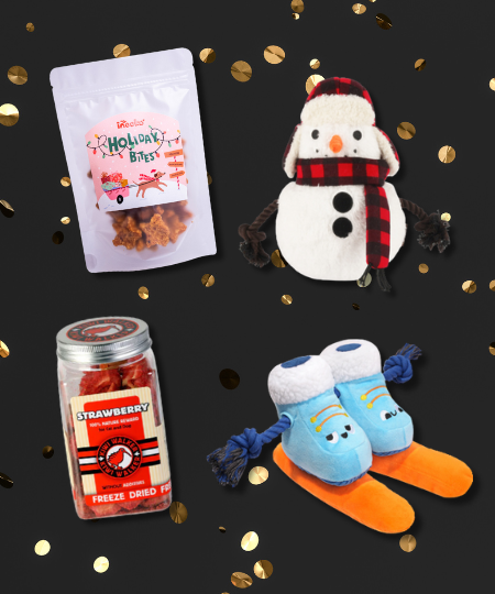 Pack promotionnel Black Friday - Ski Holiday