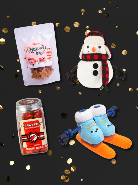 Pack promotionnel Black Friday - Ski Holiday