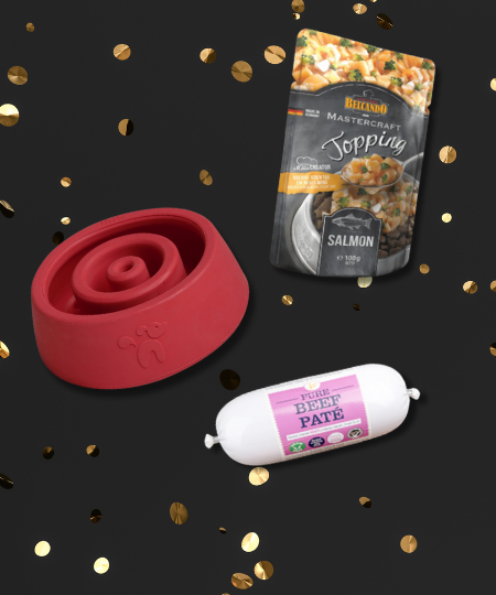 Pack promotionnel Black Friday - Wobble activity