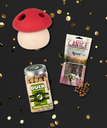 Pack promotionnel Black Friday - Cueillette d'automne