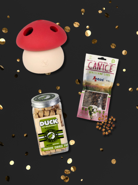 Pack promotionnel Black Friday - Cueillette d'automne