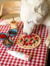 inooko-Tapis-lechage-chien-YoomY-pizza