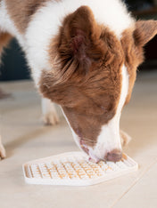        inooko-beurre-de-cacahuete-chien-completely-nuts