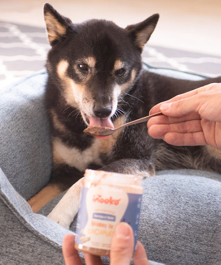         inooko-beurre-de-cacahuete-chien-Berries-n-nuts