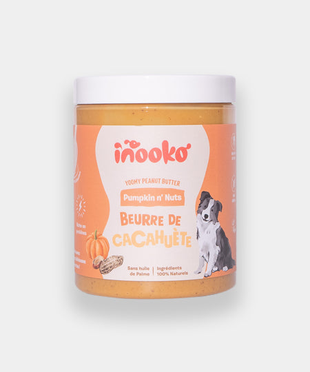    inooko-beurre-de-cacahuete-chien-Pumpkin-n-nuts