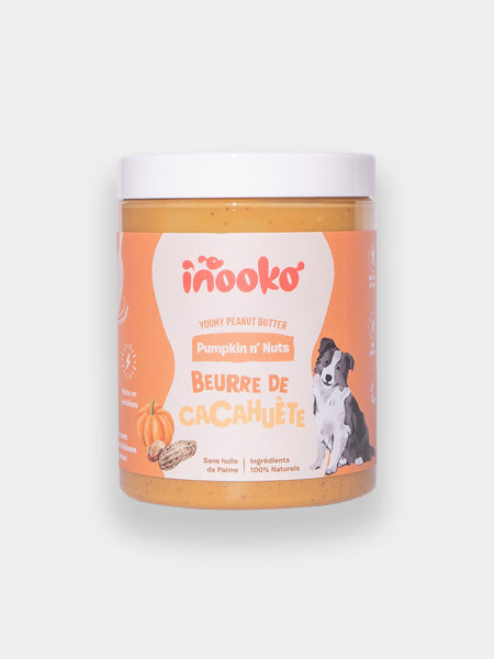    inooko-beurre-de-cacahuete-chien-Pumpkin-n-nuts