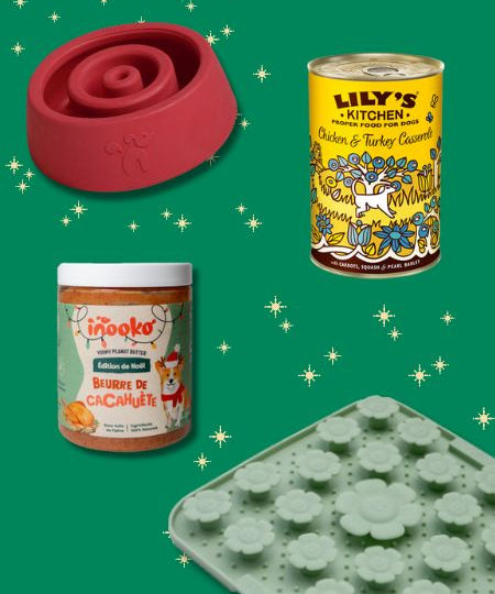 inooko-box-de-noel-pour-chien