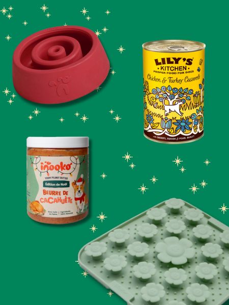 inooko-box-de-noel-pour-chien
