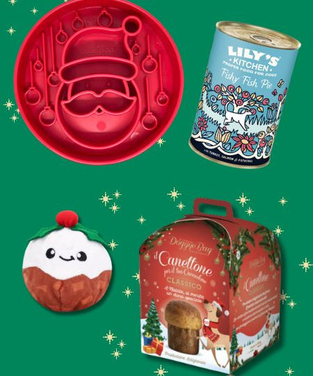 inooko-box-de-noel-pour-chien