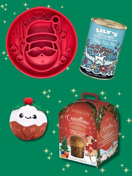 inooko-box-de-noel-pour-chien