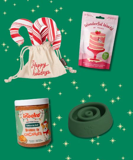 inooko-box-de-noel-pour-chien-5.jpg