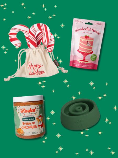 Box de Noël pour chien - Chaussette du Père Noël