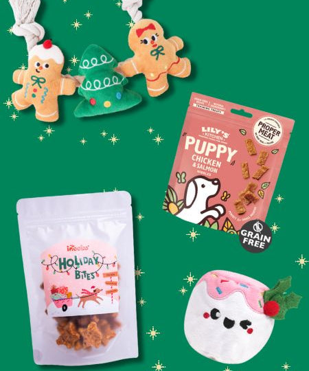 inooko-box-de-noel-pour-chien
