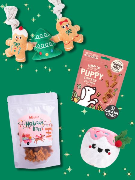 inooko-box-de-noel-pour-chien