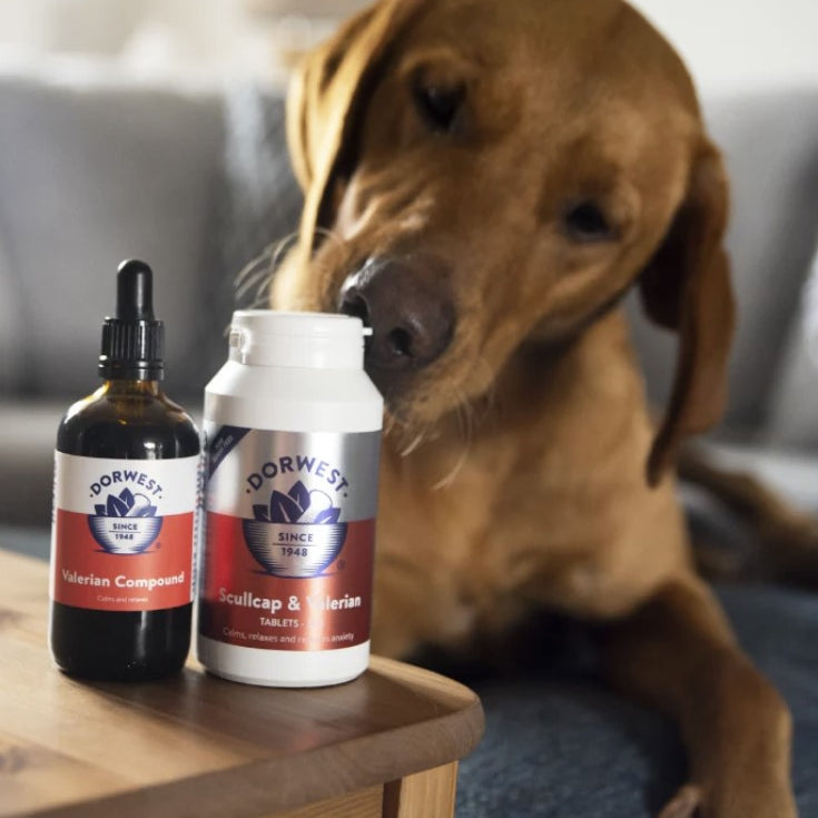 inooko-complement-alimentaire-dorwest-chien-anti-stress-calmant-apaisant