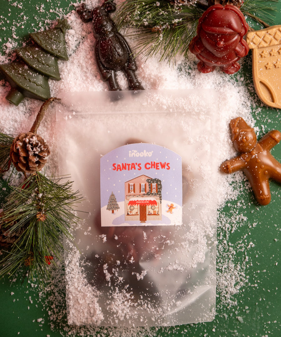 inooko-friandises-de-noel-pour-chien-santa-chews