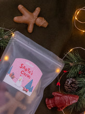 inooko-friandises-de-noel-santas-chew