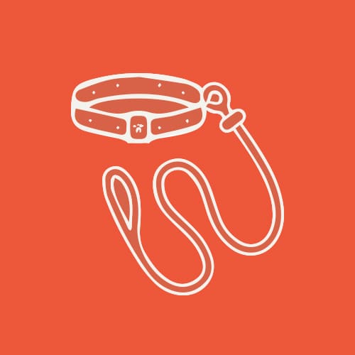 inooko-home-collection-list-sortir-500x500-px