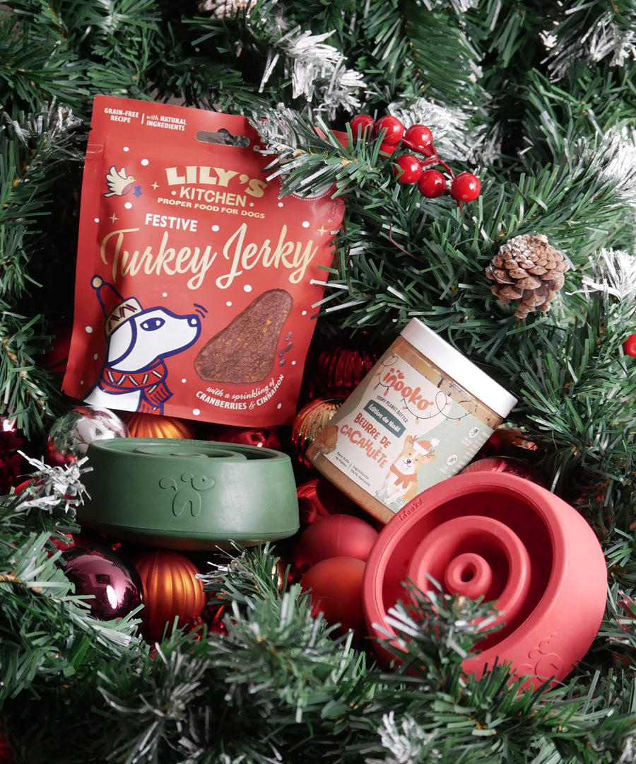 inooko-jouet-occupation-pour-chien-Yoomy-Wobble-noel
