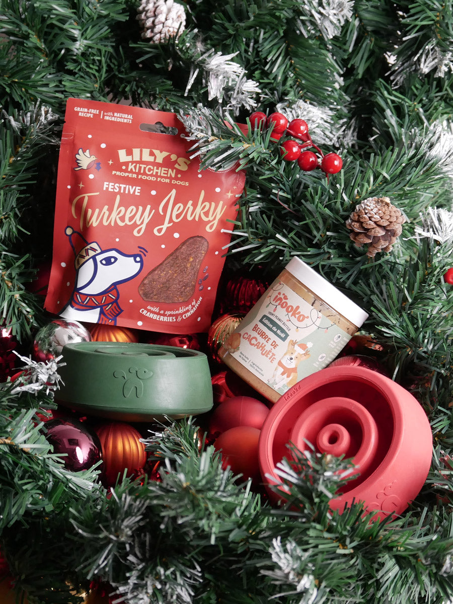 inooko-jouet-occupation-pour-chien-Yoomy-Wobble-noel