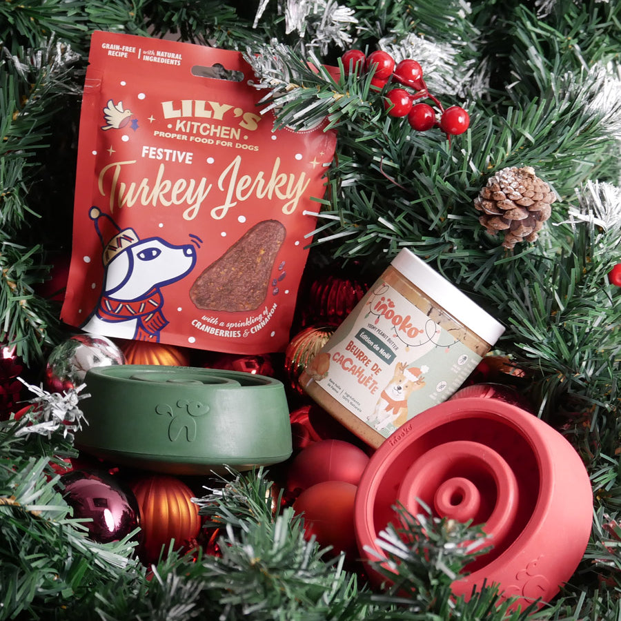 inooko-jouet-occupation-pour-chien-Yoomy-Wobble-noel