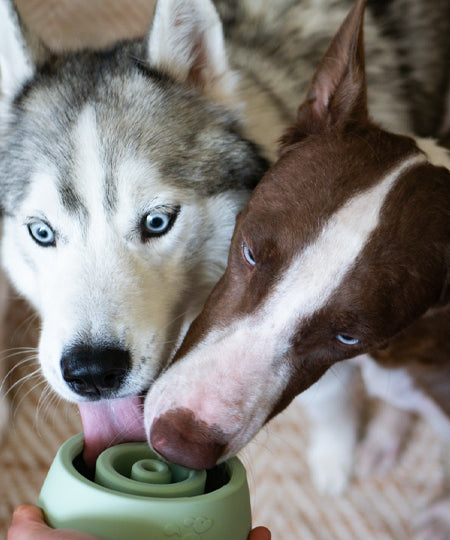 inooko-jouet-occupation-pour-chien-Yoomy-Wobble-vert