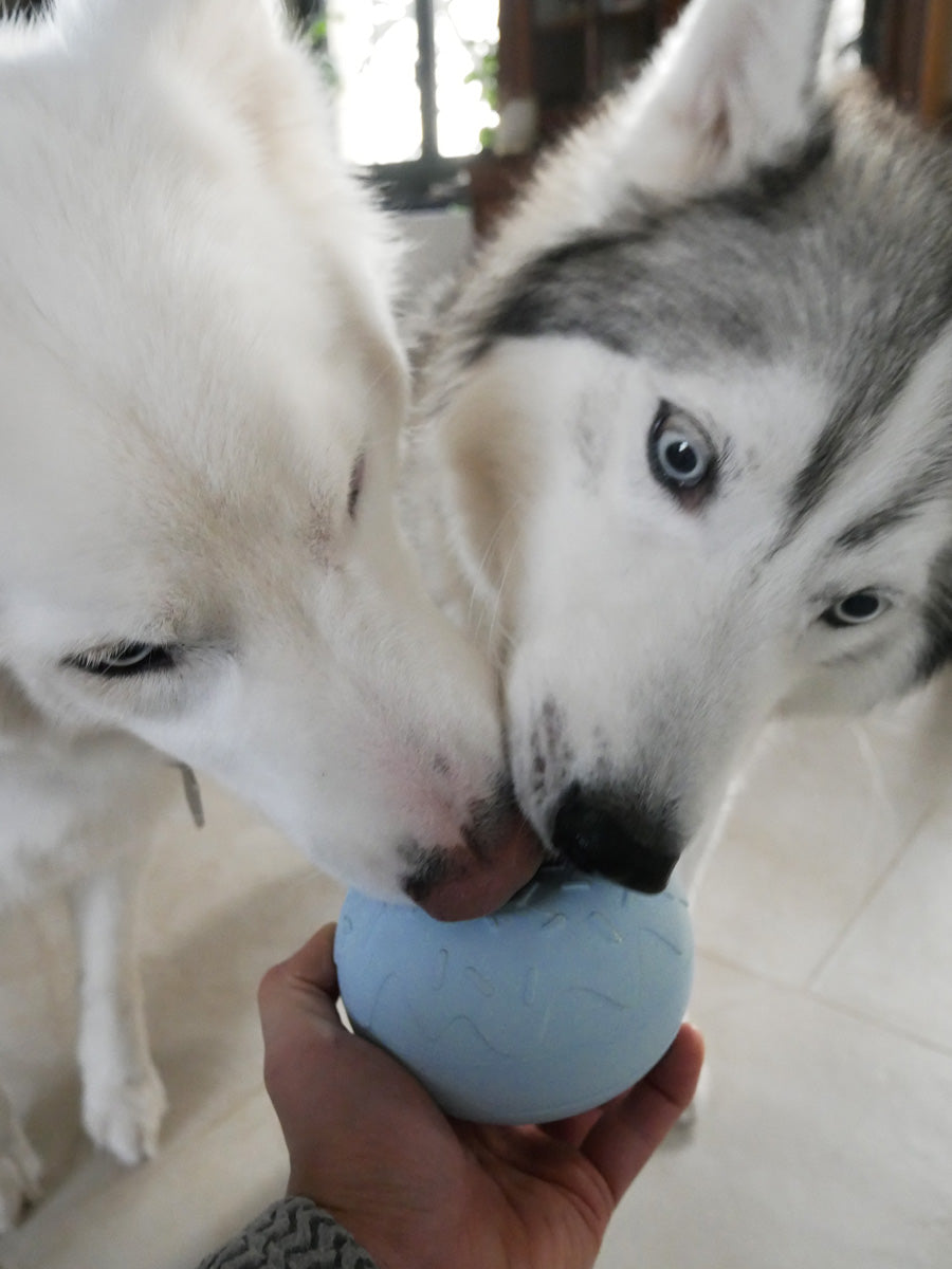 inooko-jouet-occupation-pour-chien-Yoomy-donut-beige